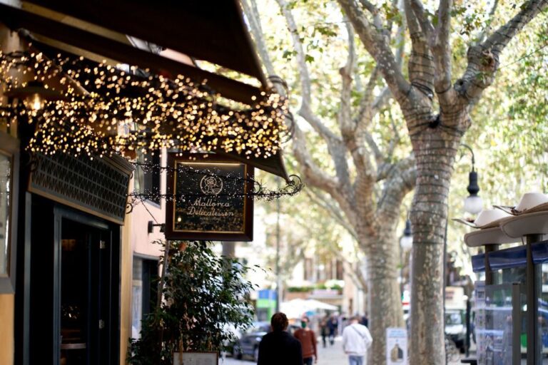 Palma-luces-navidad