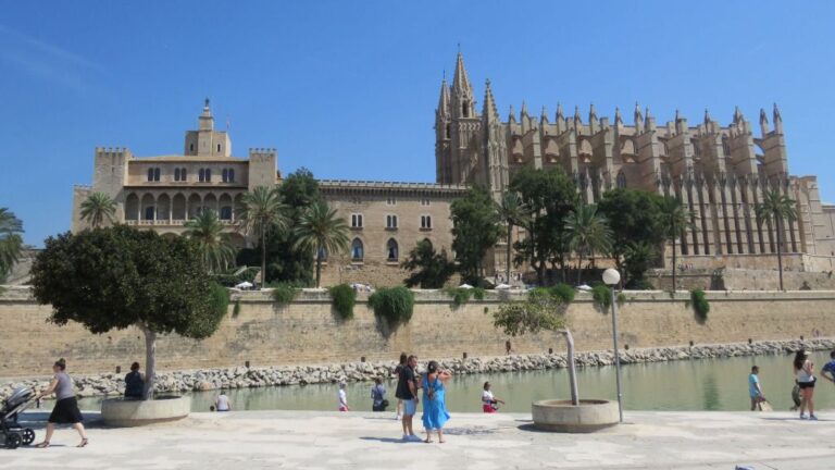 turismo palma turistas centro catedral ser