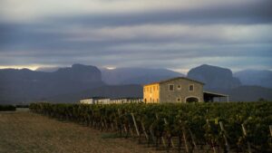 vin?as santamaria alaro? binissalem