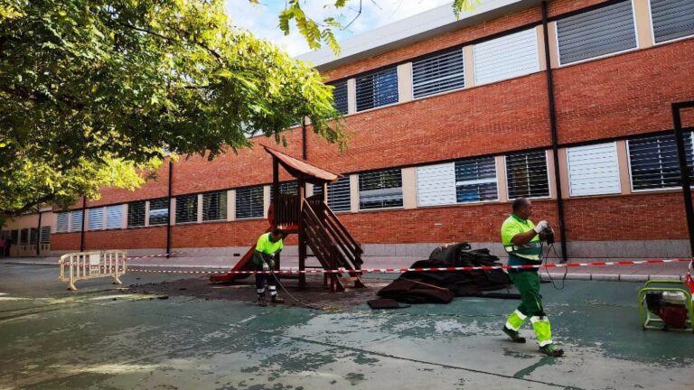 escuelas palma