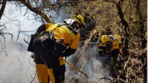 ibanat incendio es trenc