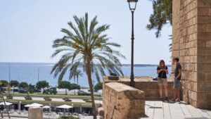 palmera-sol-buen-tiempo