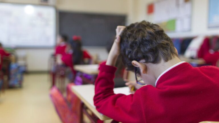 colegio niño estudiante clase