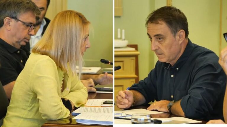 Palomino-PP-comision