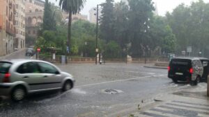 lluvia tormenta palma