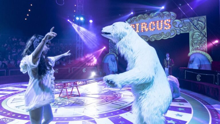 Circo Alegría