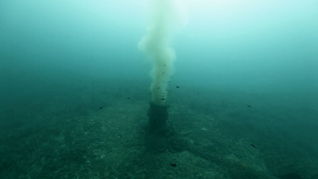 Posidonia, emisaris y fondeos