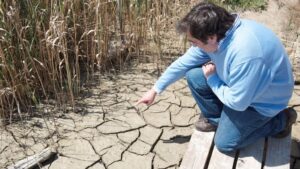 Estudio La Espa&ntilde;a desertificada