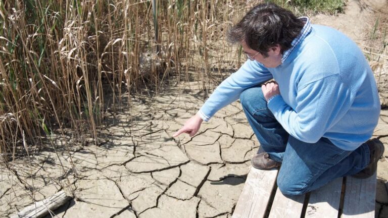 Estudio La España desertificada
