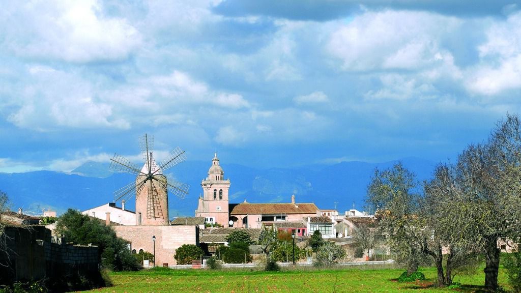 algaida