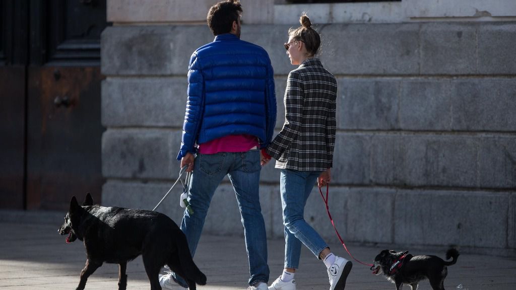 pareja perros divorcio
