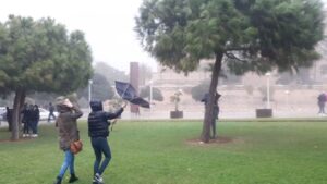 viento parques tormenta