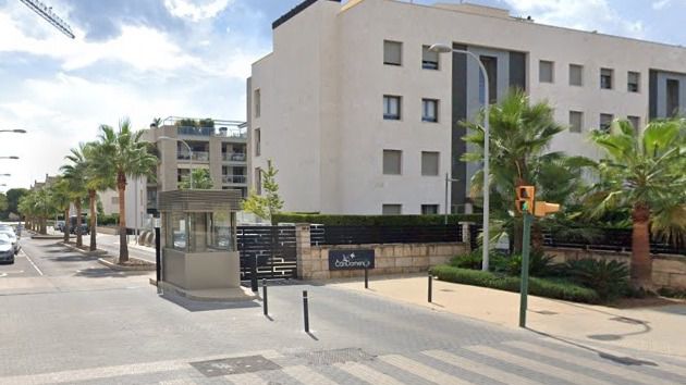 can domenge palma