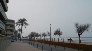 niebla