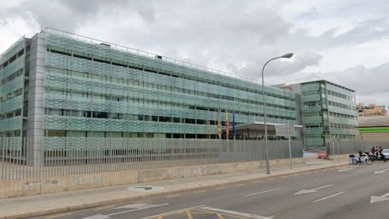 jefatura de trafico palma