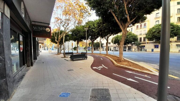 barrios palma