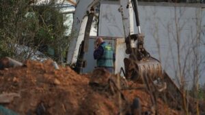 Malen busqueda marzo 2023