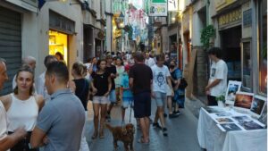 Nit d'Art Soller 2022