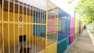 Jaulas de animales en Son Reus