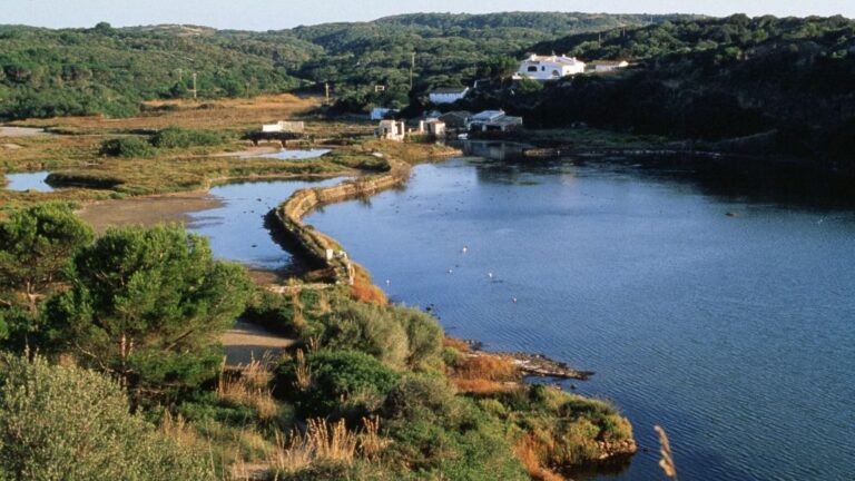 Albufera Es Grau