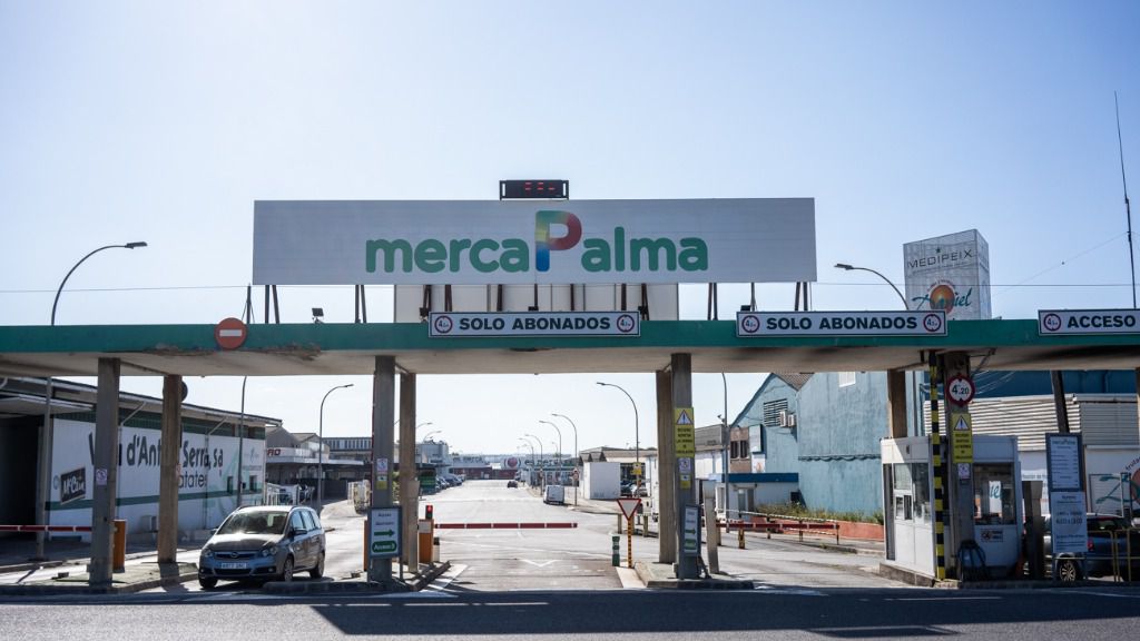 mercapalma