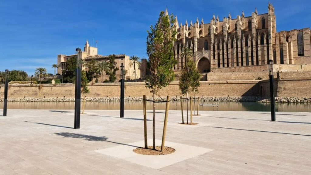 Be Palma regresa al Parc de la Mar.