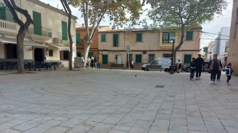 barrios palma