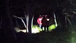 Imagen de archivo de bomberos actuando de noche