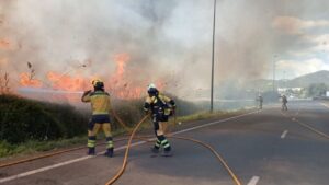 Efectivos del operativo de extinci&oacute;n act&uacute;a en el incendio declarado en la zona forestal de ses Feixes, en Ibiza