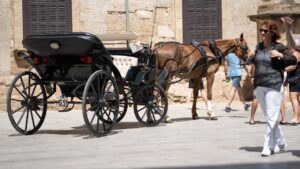 Calesa al sol