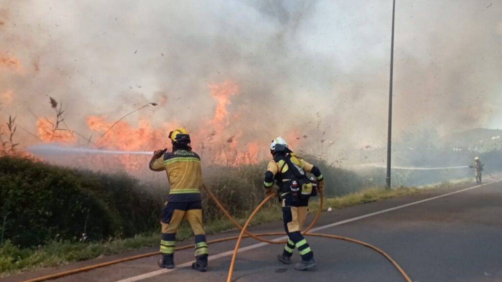 Imagen de afrchivo