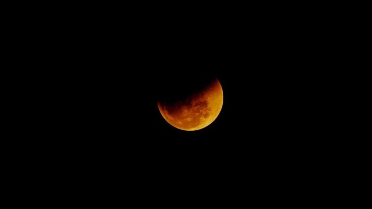 Cort filtra el acceso en coche a Playa de Palma para el día del eclipse