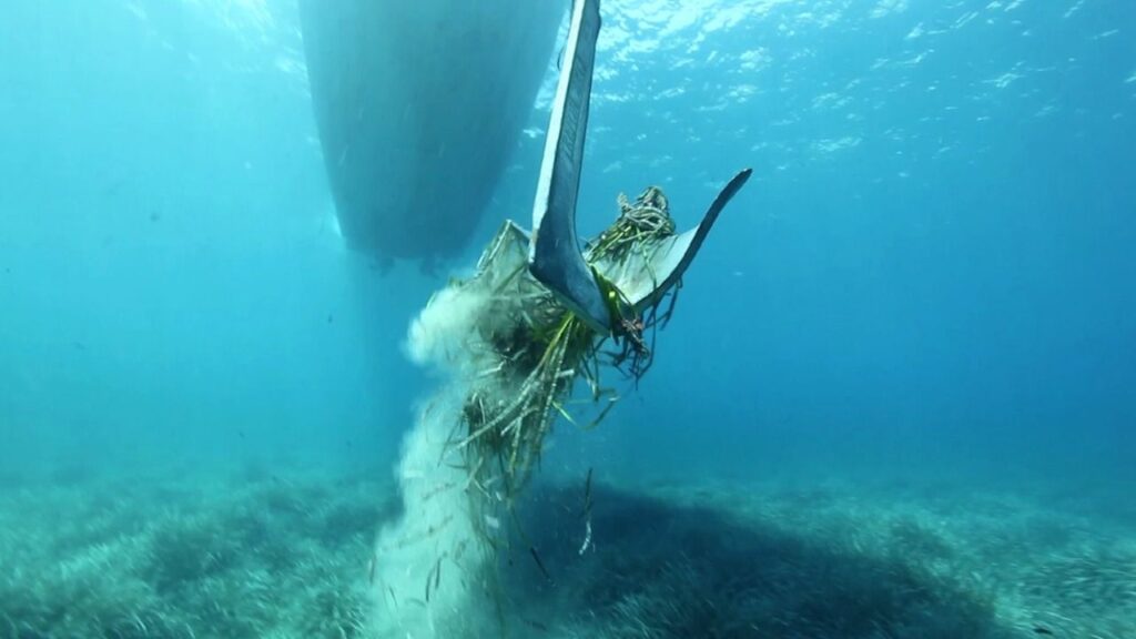 Posidonia, emisaris y fondeos