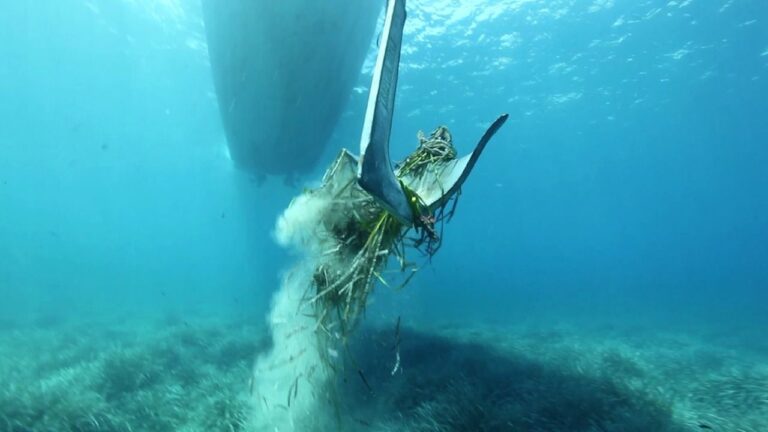 Posidonia, emisaris y fondeos