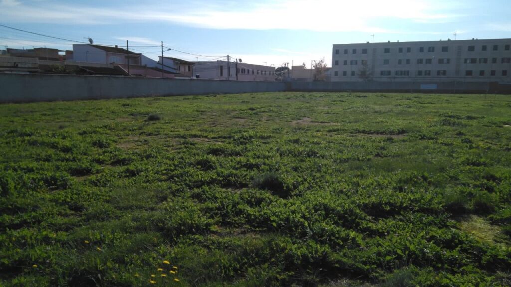 Campo de fútbol de la barriada palmesana de Verge de Lluc