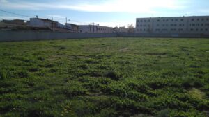Campo de f&uacute;tbol de la barriada palmesana de Verge de Lluc