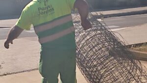 Un operario del &aacute;rea de Parcs i Jardins de Cort retira el cerramiento met&aacute;lico que proteg&iacute;a la colonia urbana de gatos