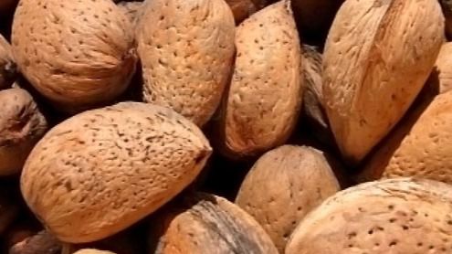 almendra
