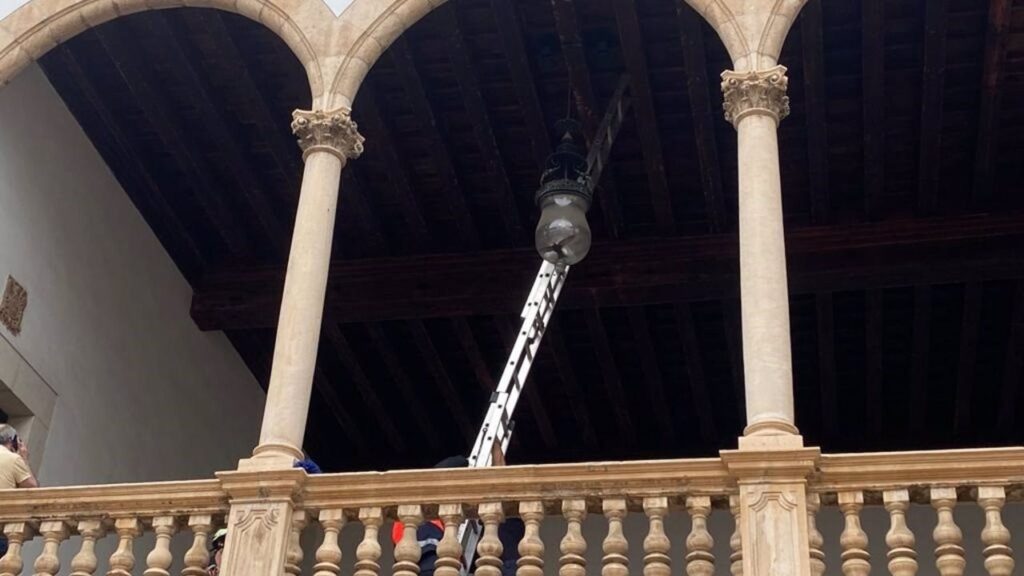 Imagen del ave que se había quedado atrapada en el interior de una lámpara de la sede de la Audiencia Provincial, en Palma