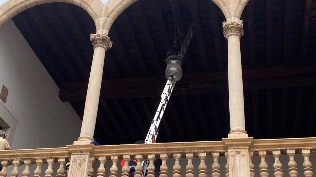 Imagen del ave que se hab&iacute;a quedado atrapada en el interior de una l&aacute;mpara de la sede de la Audiencia Provincial, en Palma