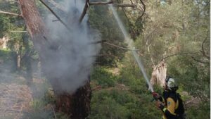 Un operario de Ibanat interviene en el incendio forestal originado en una zona de Puigpunyent a causa de la descarga de un rayo