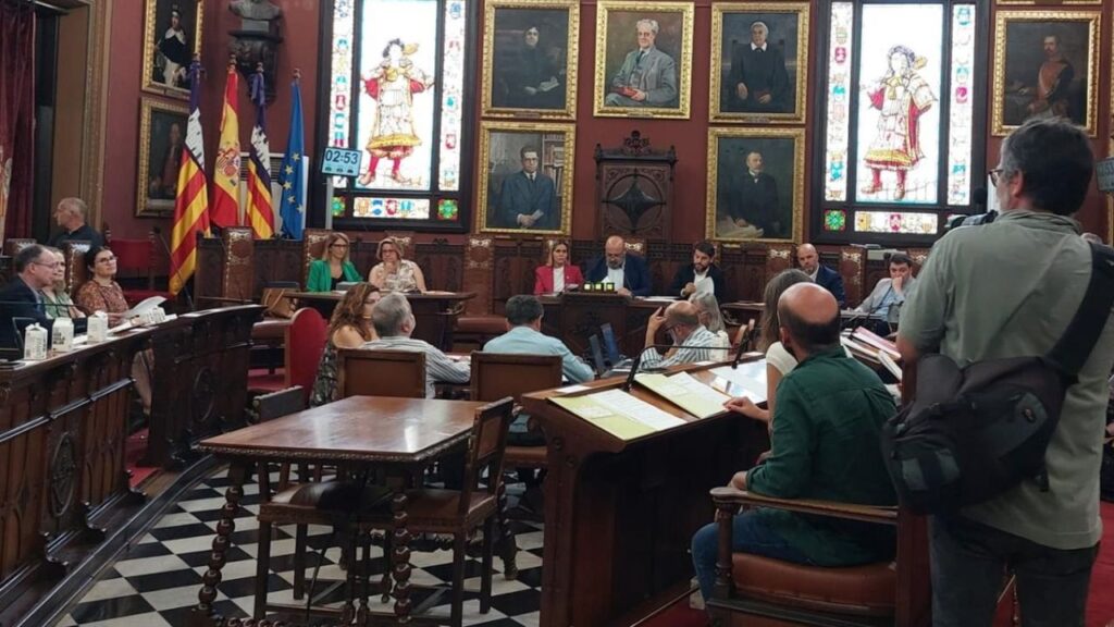 PLENO PALMA MARTINEZ