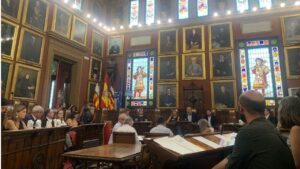 Pleno extraordinario del Ayuntamiento de Palma.