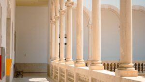 Tribunal superior de Justicia TSJ