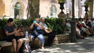 Calor Palma alta temperatura verano