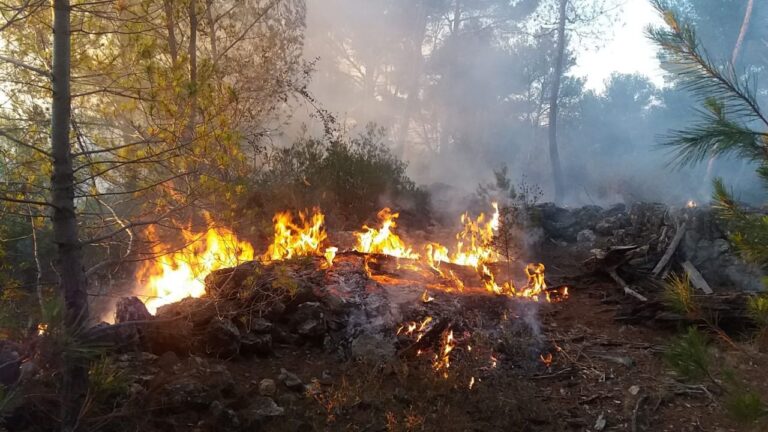 fuego incendio