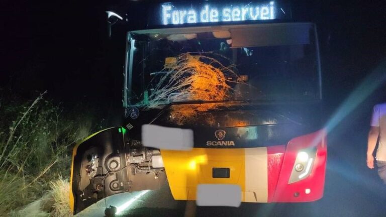 Así quedó el autobús tras el impacto. Imagen de la Policía Local de Alcúdia.