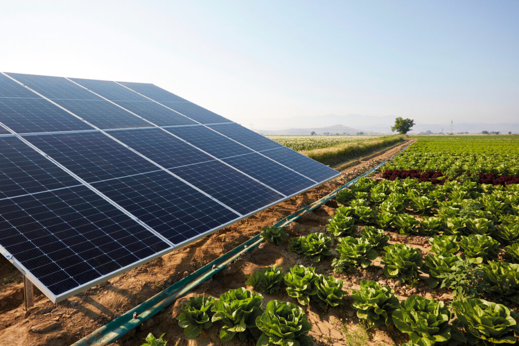 Paneles solares