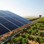 Paneles solares