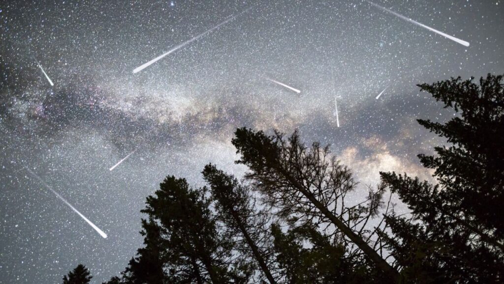perseidas
